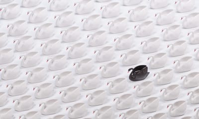 Unlocking the Power of Positive Serendipity: Navigating Black Swans in Business