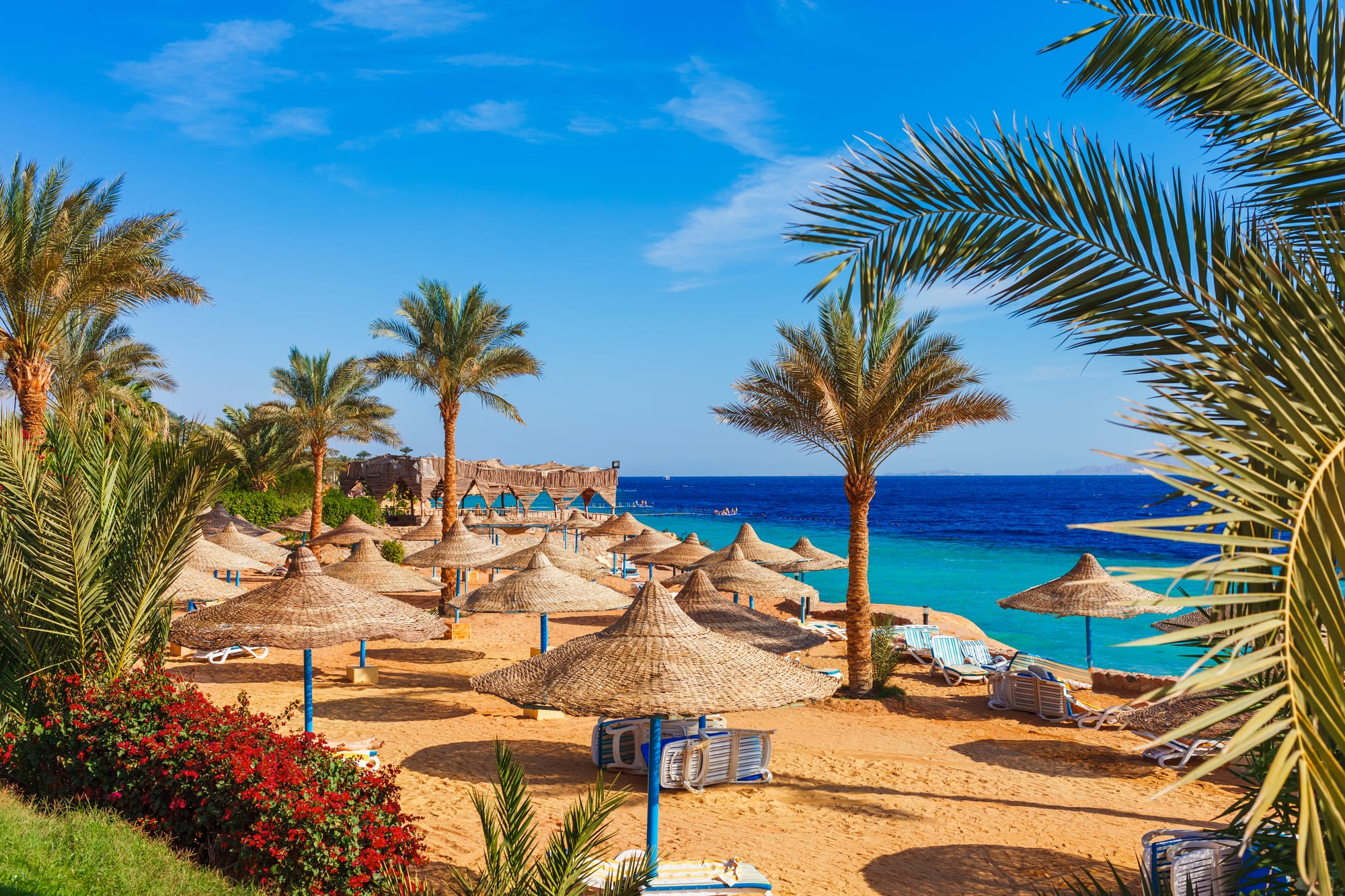 EGYPT PROMO PACKAGES