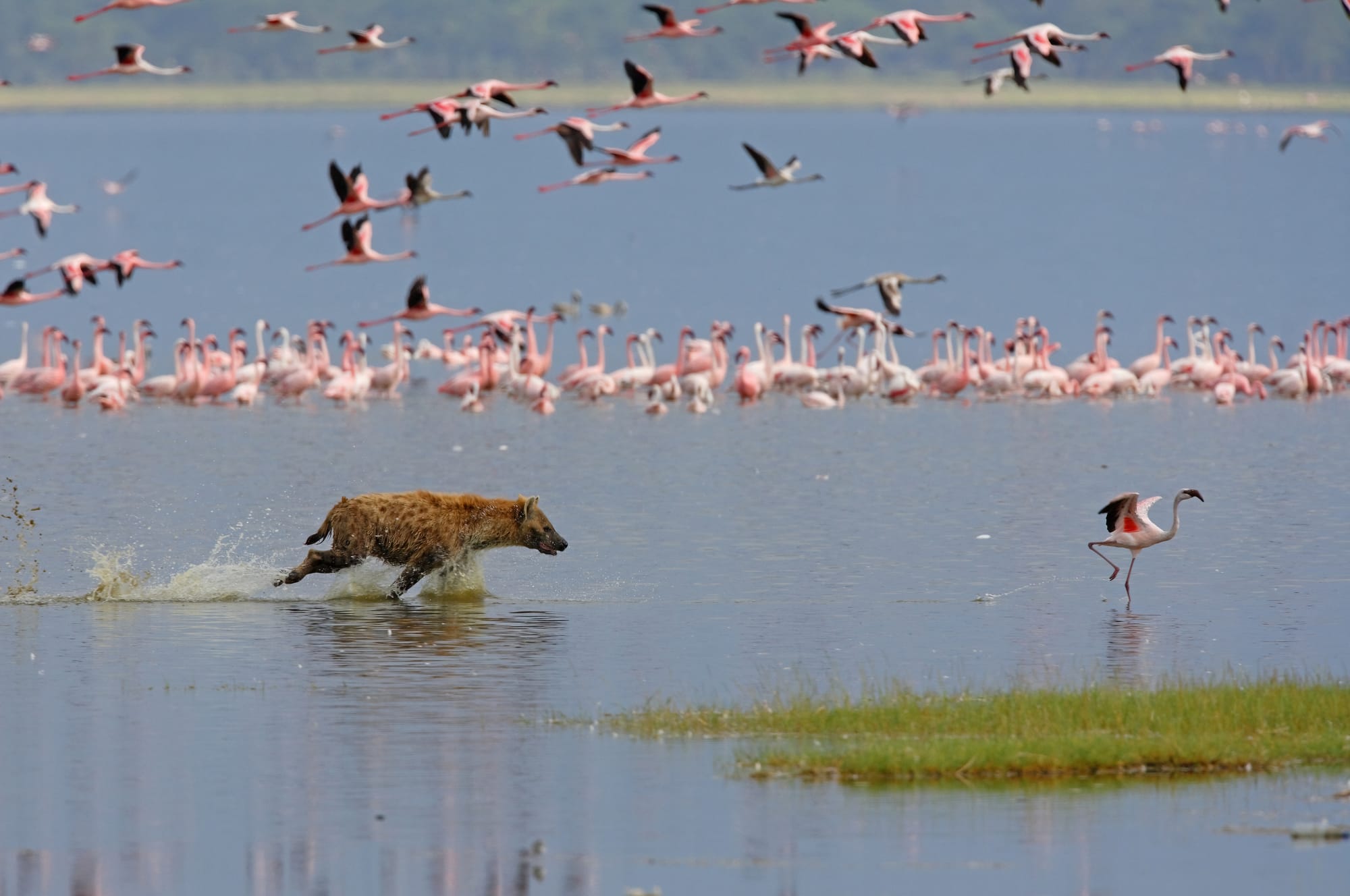 Weekend Getaways – Nakuru, Naivasha & Ol Pejeta | 10th–11th October