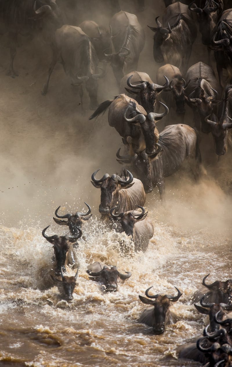 KENYA PEAK SEASON PROMO TOURS