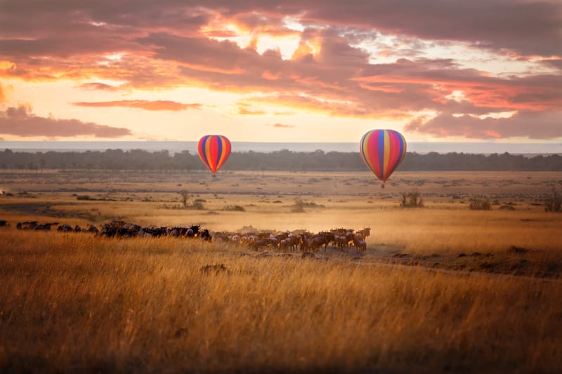 Maasai Mara Safari Special Offer (Valid Until 15 September 2026)