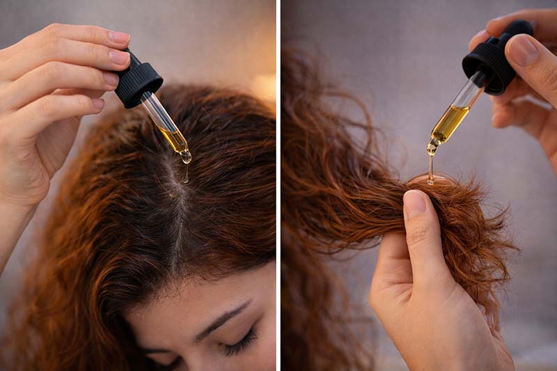 هل يوضع الزيت على الفروة أم على الشعر؟ الطريقة الصحيحة حسب هدفك ونوع شعرك