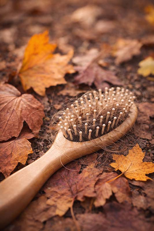 Seasonal hair loss: Is it normal? And when should you worry? + A 4-week plan to reduce hair loss