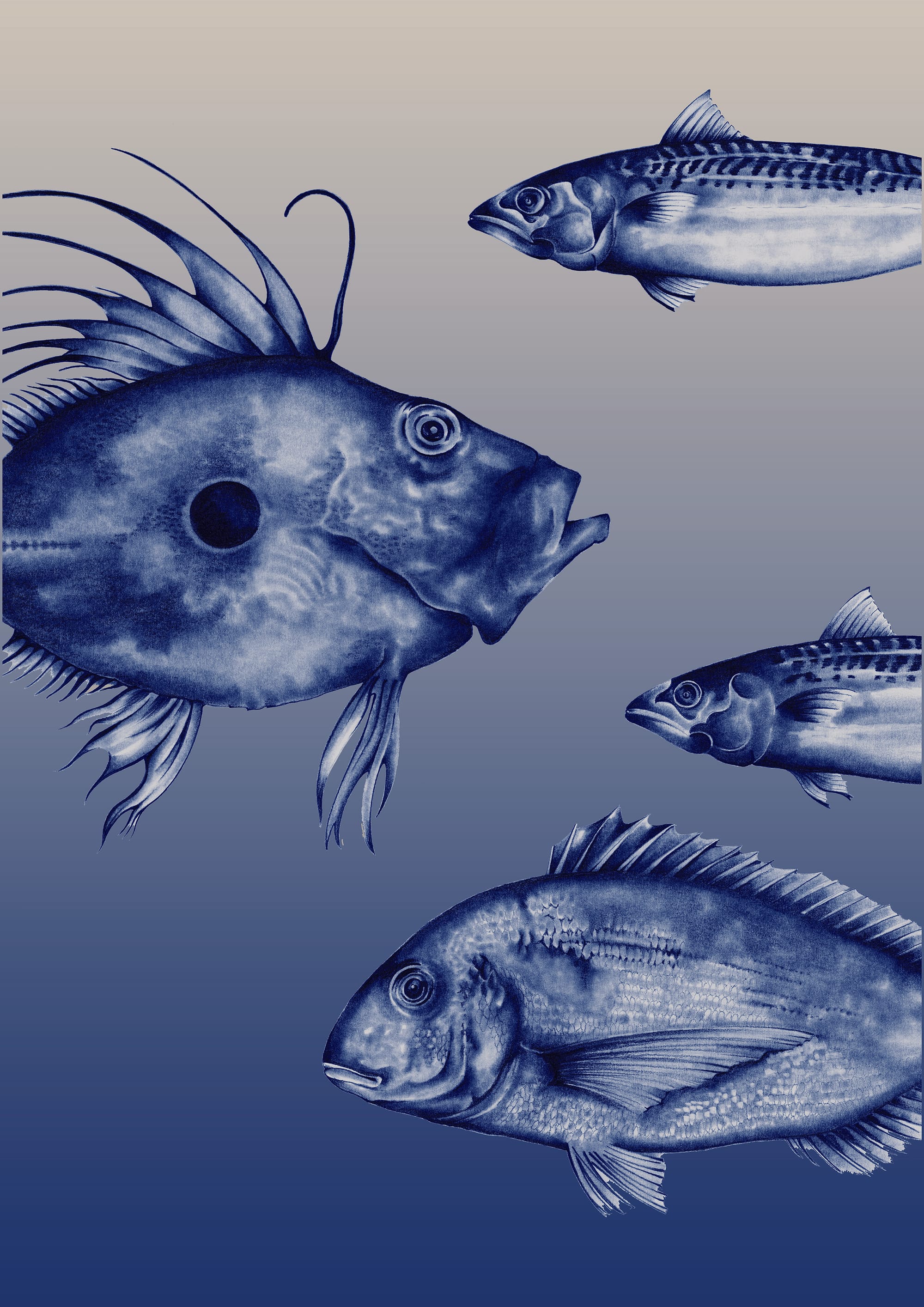 Etale de marché en camaÏeu de bleu