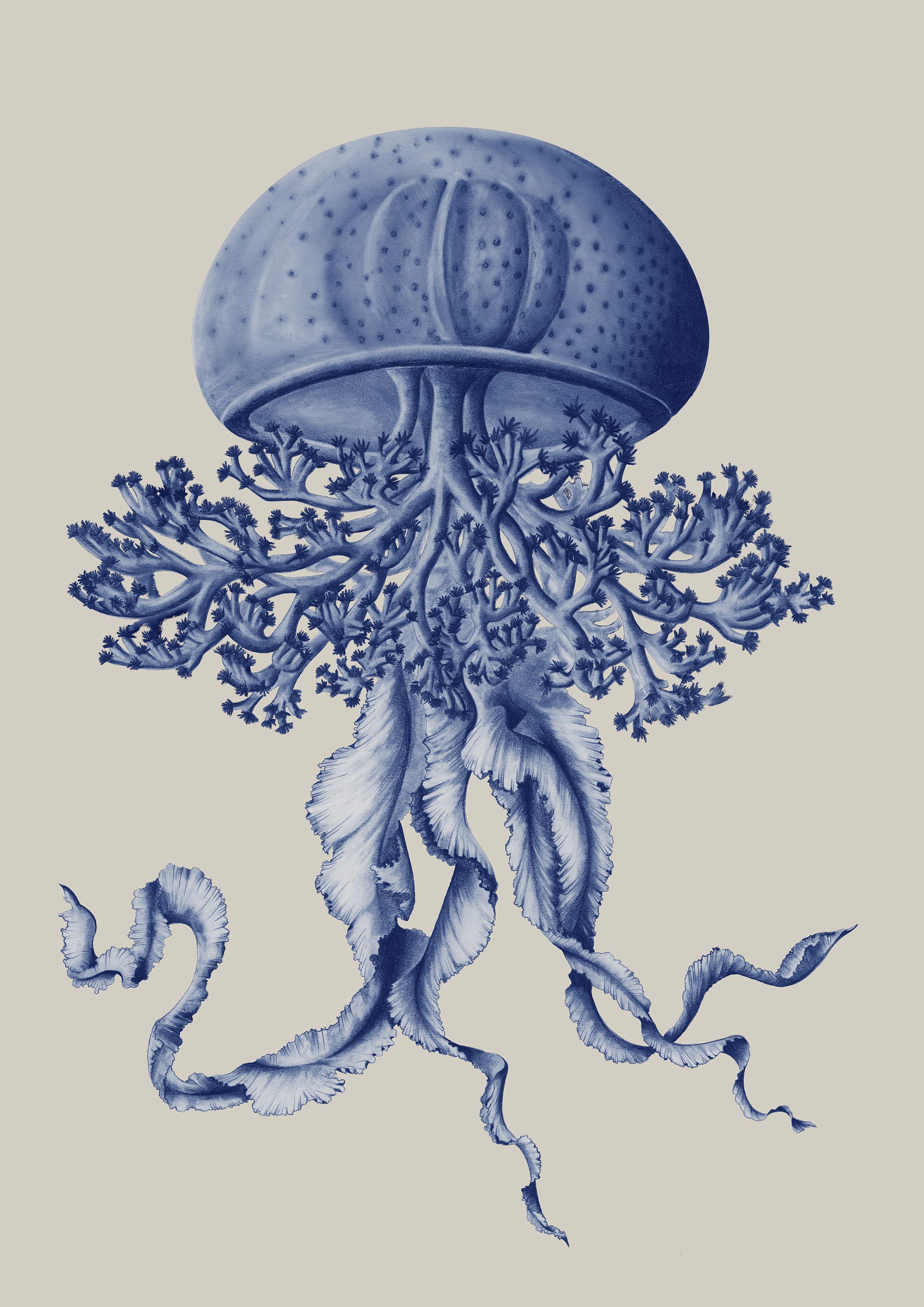 Méduse en camaïeu de bleu