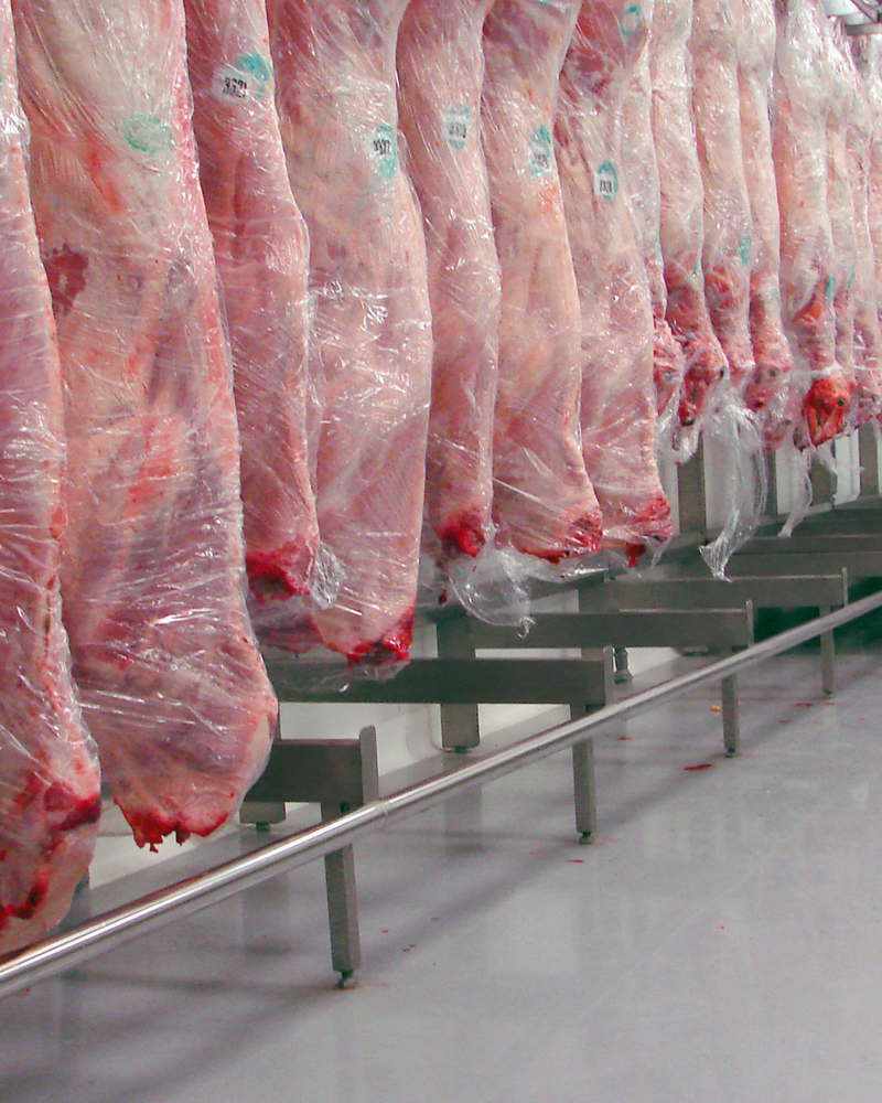 Para açougues, frigoríficos e câmaras frias, o revestimento monolítico garante máxima higiene, alta resistência térmica e antiderrapância, sem acúmulo de resíduos.