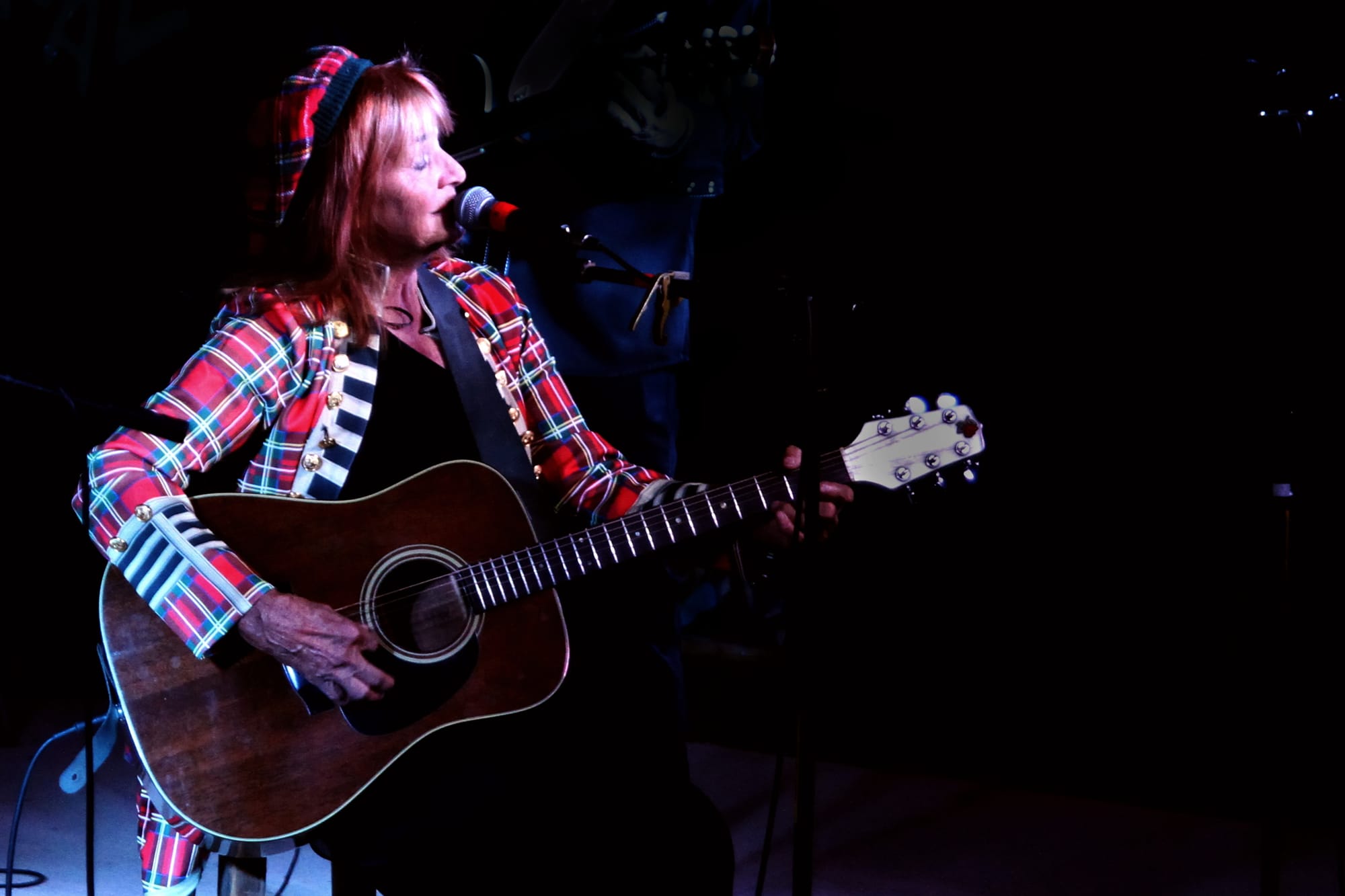 SINGER/SONGWRITER- writes all her own songs- Country/Folk/Celtic 