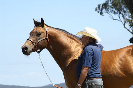 BONY MOUNTAIN FAMILY