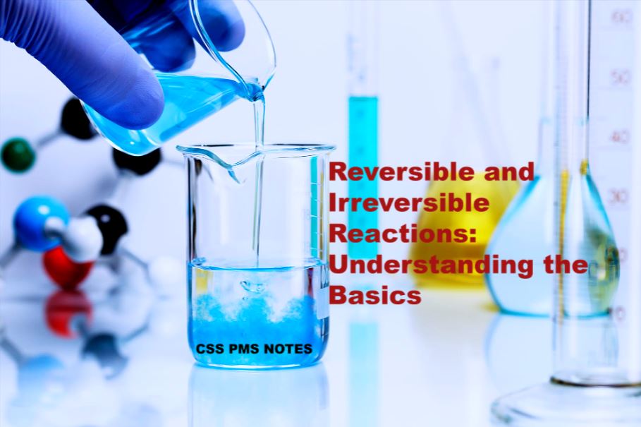 Reversible and Irreversible Reactions: Understanding the Basics