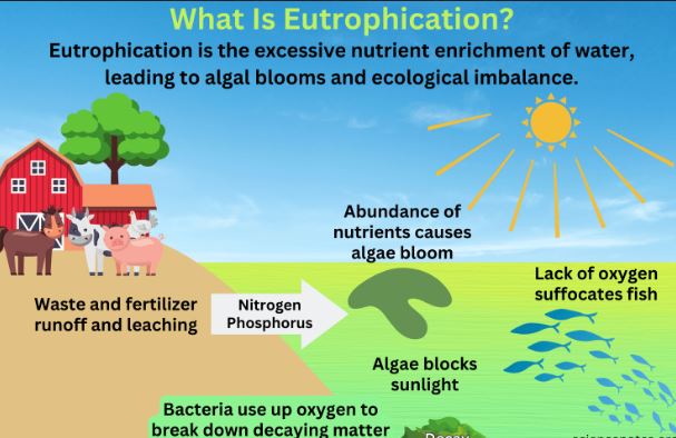 eutrophicaiton, causes of eutrophication, Eutrophication,  What is Eutrophication? , Causes of Eutrophication , Effects of Eutrophication , Types of Eutrophication , Algal Bloom , Eutrophication Prevention , Cultural Eutrophication vs. Natural Eutrophication , Eutrophication Examples , Eutrophication in Lakes , Eutrophication in USA, Canada, UK, Australia, India,