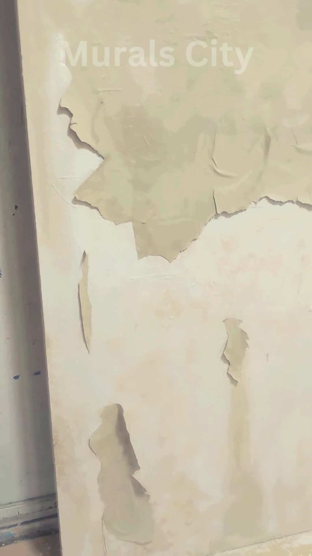 fasion photography backdrop