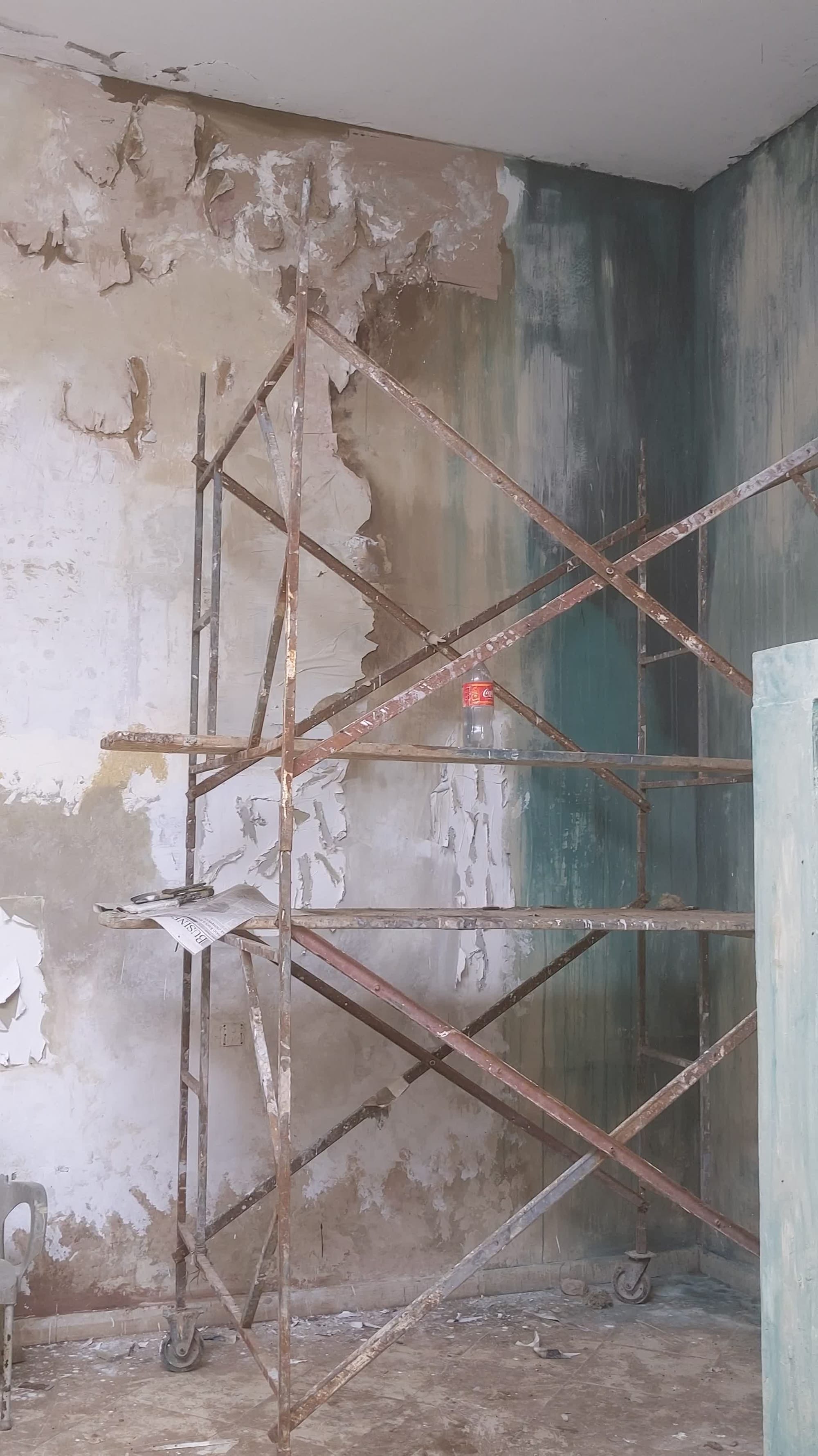 backdrop for fasion shoot