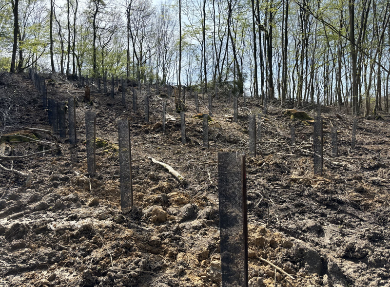 PLANTATION EN PLEIN