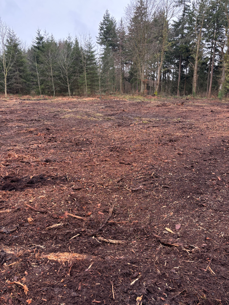 Broyage forestier en plein