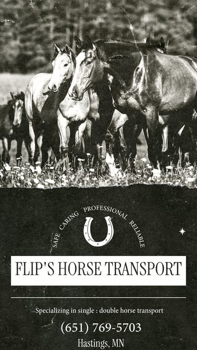 Flips Horse Transportation