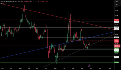 WTI Crude Oil – Chart Analysis & Inflation Hedge Strategy