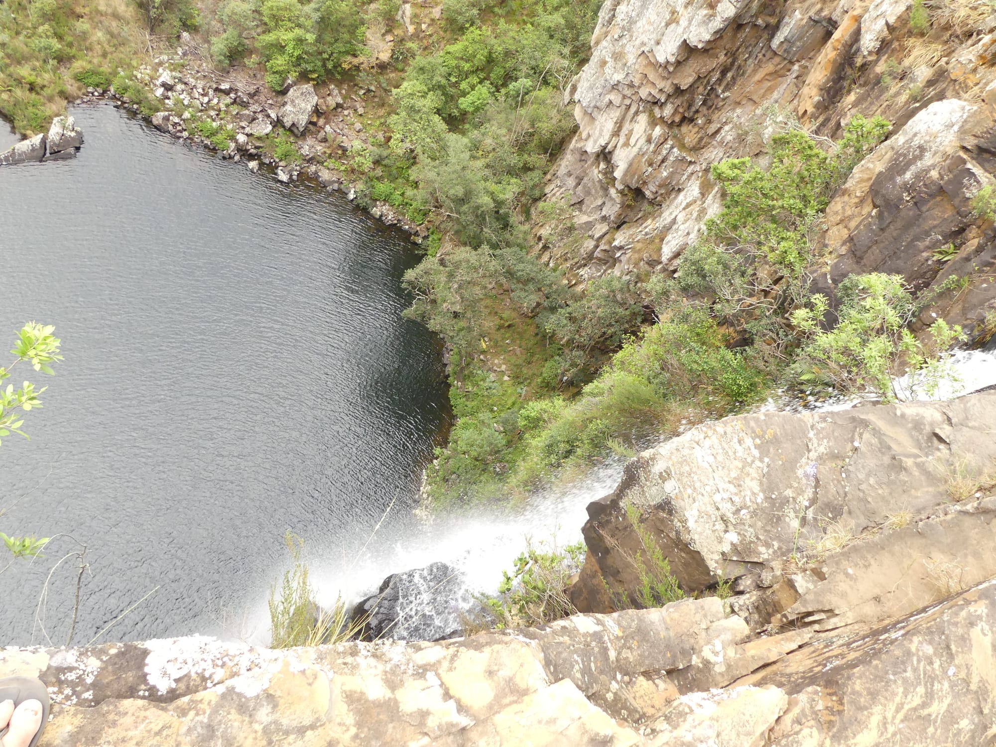 Panoramic road trip