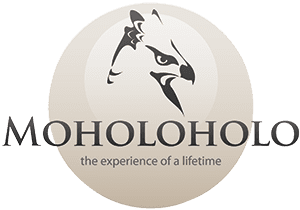 MOHOLOHOLO WILDLIFE REHABILITATION
