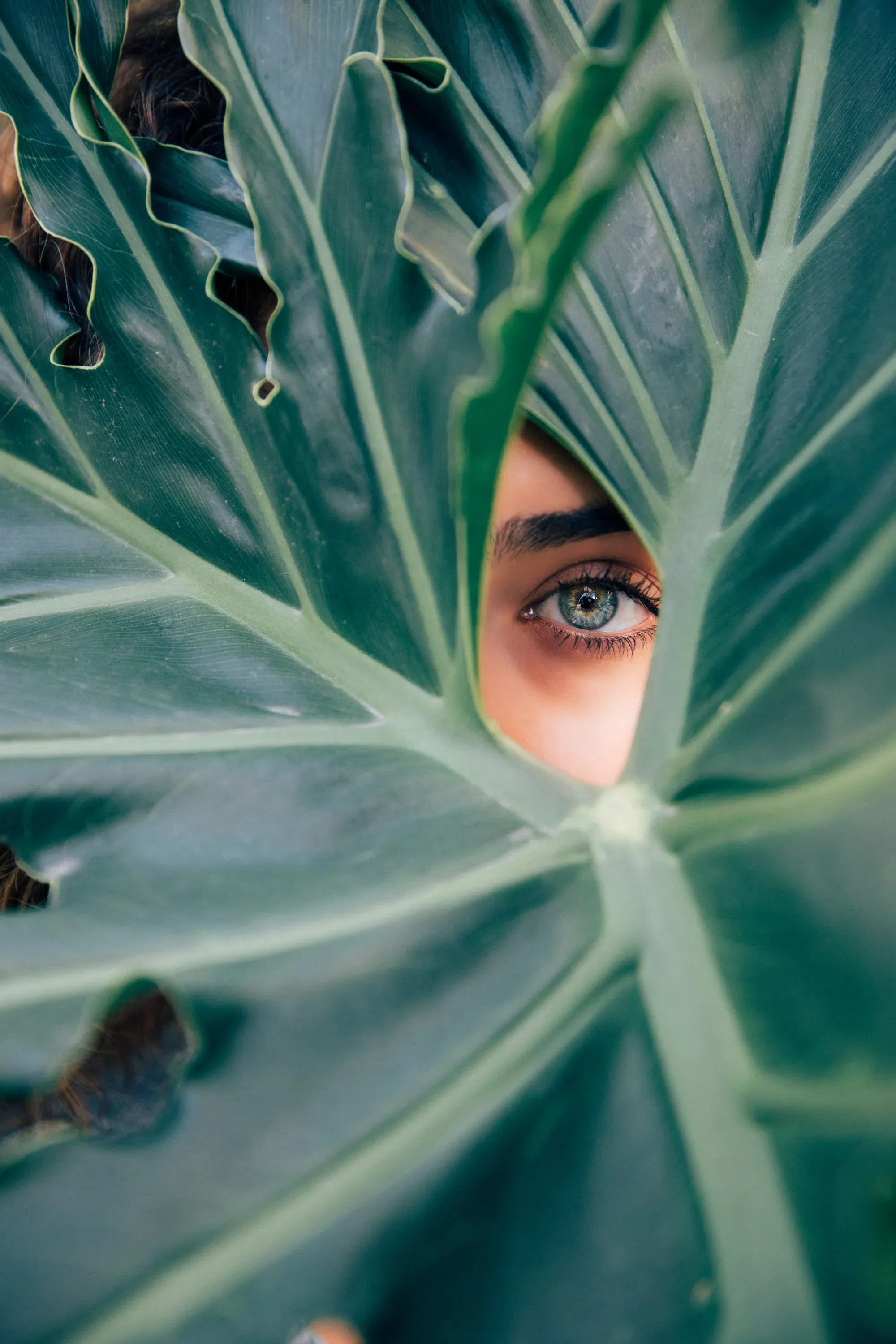 HYPNOSE BEI ÄNGSTEN UND PANIK