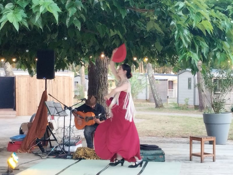 Duo Flamenco