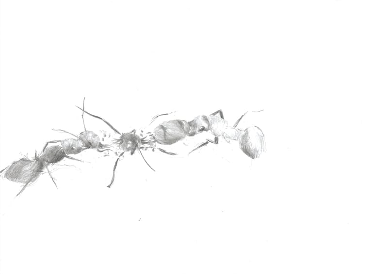 Fikcyjne stworzenia - ołówek