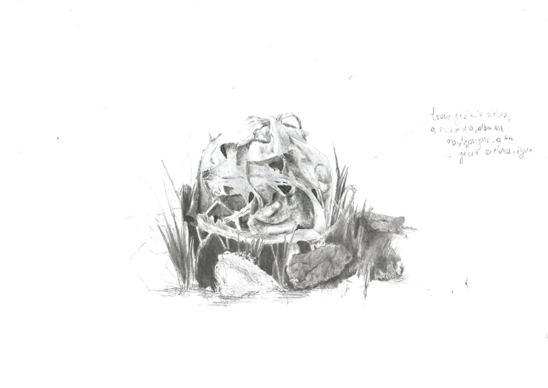 Fikcyjne stworzenia - ołówek