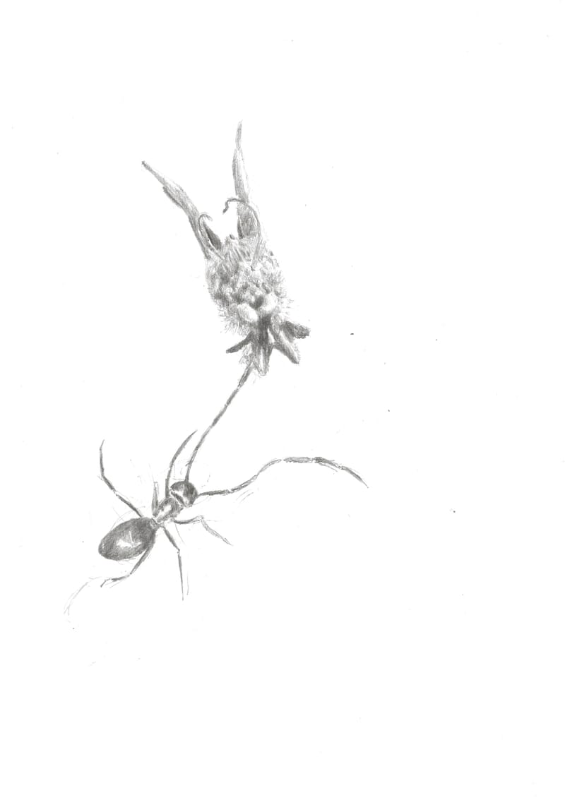 Fikcyjne stworzenia - ołówek