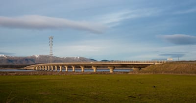 CERT Annual Impact Report 1st April 2024 -  31st March 2025