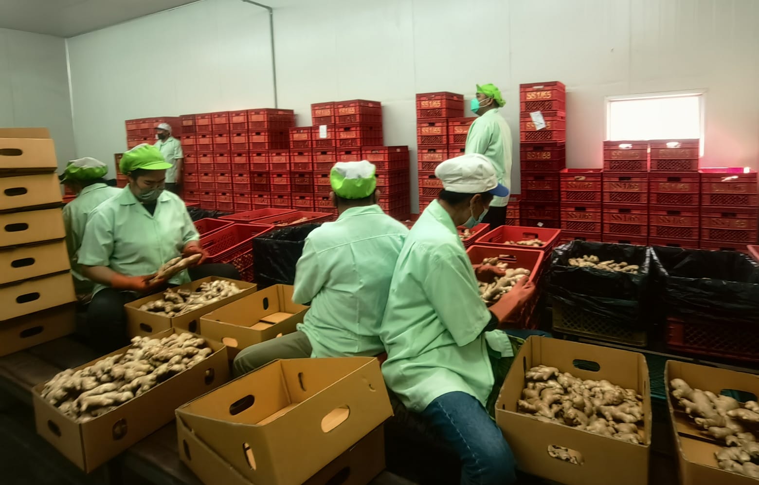 Packing House