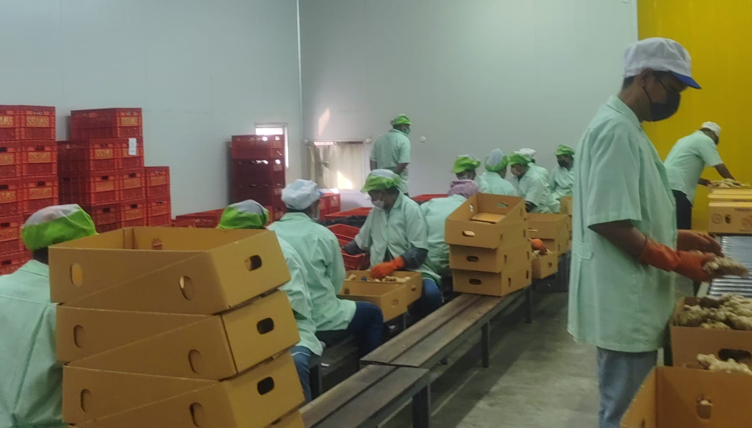 Packing House Cold Room