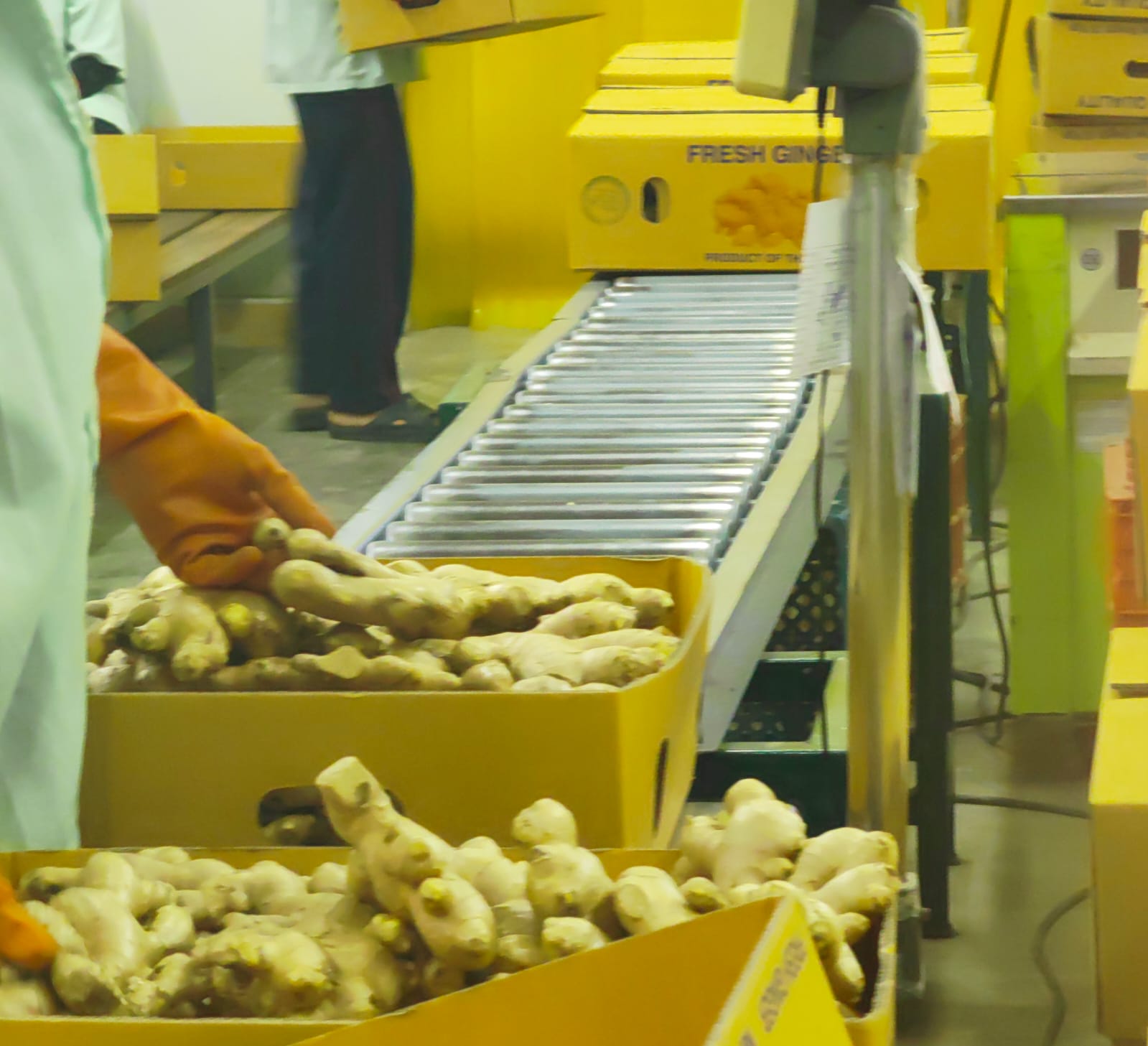 Packing into Carton