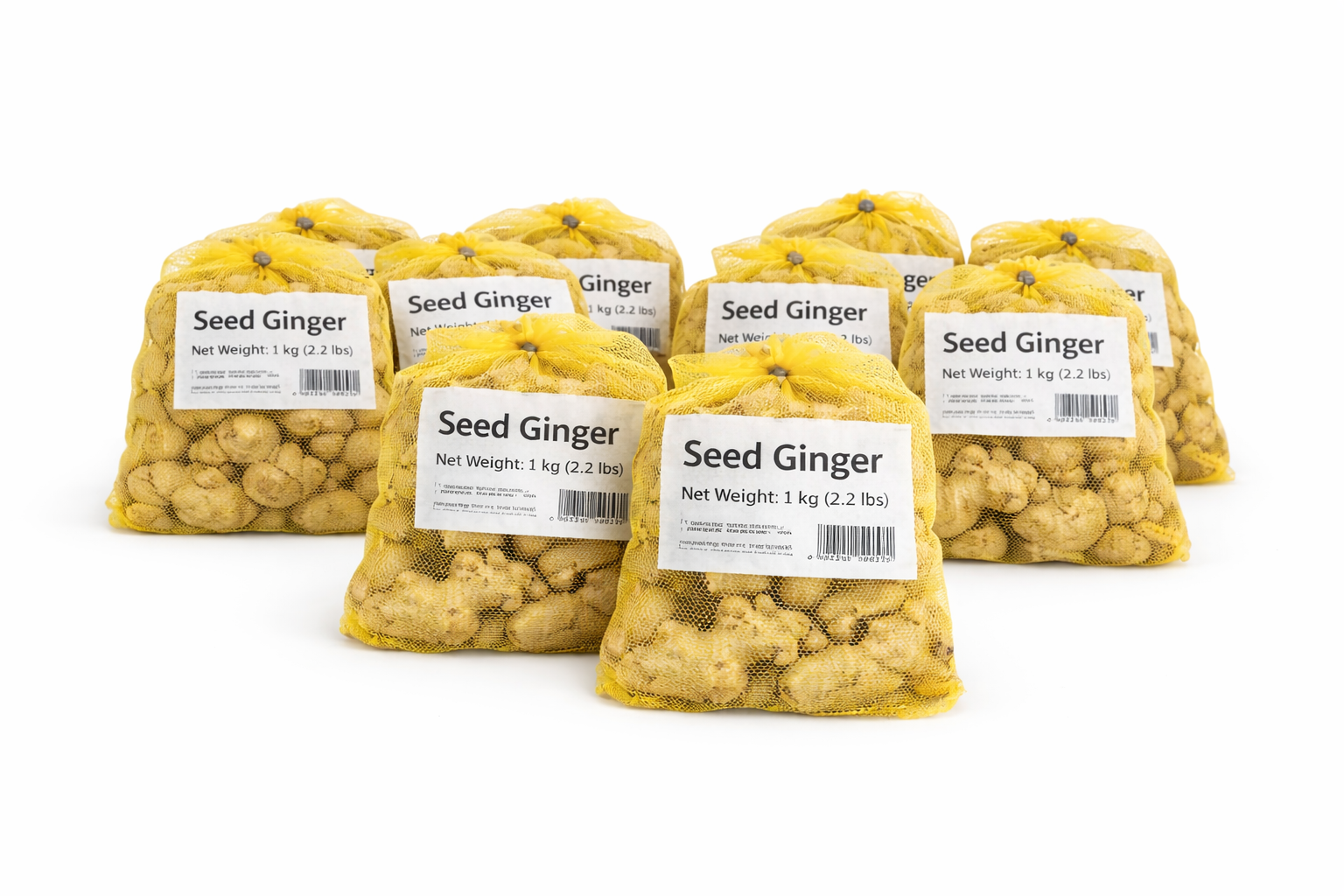 Ginger seeds in Mesh Bag