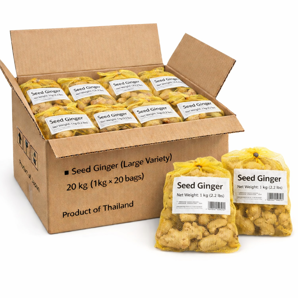 Ginger Seeds packed into carton