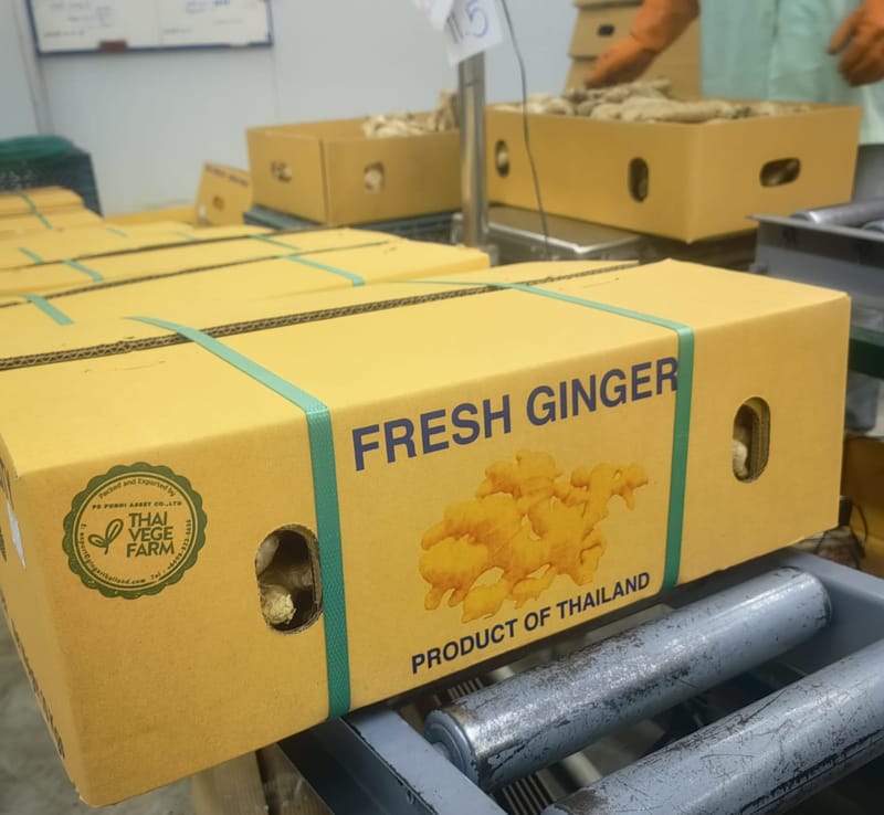 Thailand Fresh Ginger for the World