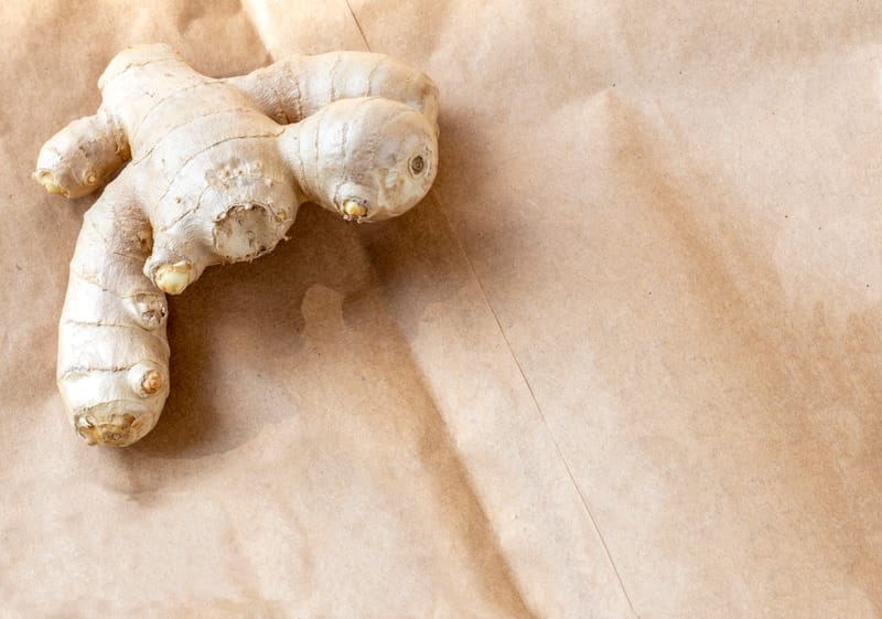 Fascinating world of ginger seeds