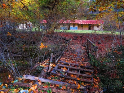 Discover Our Vision: Redefining Travel, One Journey at a Time