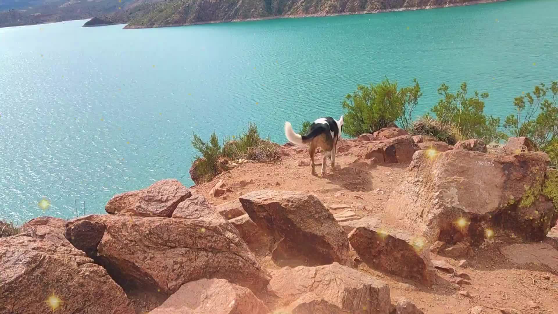 Potrerillos con Transporte VIP | Mendoza Ride – Vino, Montañas y Buen Viaje