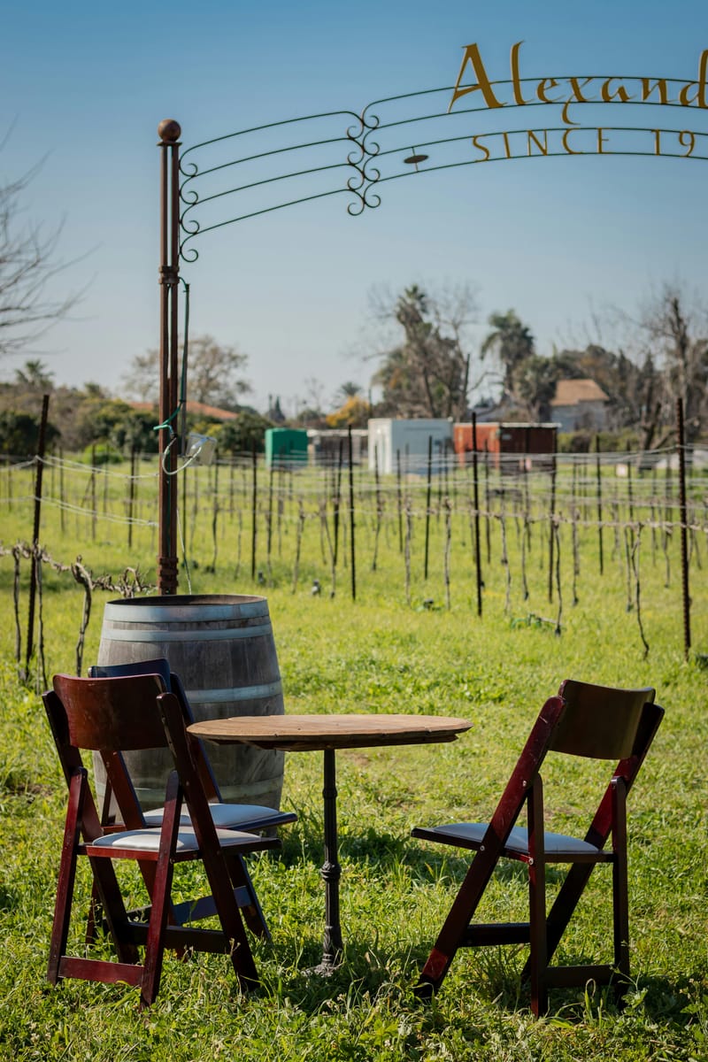 Ruta y caminos del Vino en Mendoza