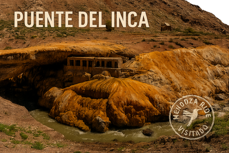Alta Montaña Mendoza: Ruta de Encuentro con los Andes