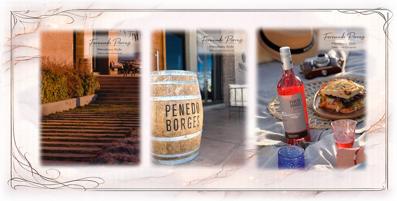 Bodega Penedo Borges