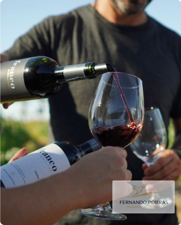 Bodega Atilio