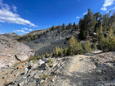 Fish Creek Switchies und abwärts am RIM gen Norden - 06.09.