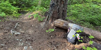 PCT 2025 Washington Section K / BlowDowns, Moskitos & Forest - Day 7