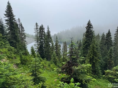 PCT 2025 Washington Section K / Steven Pass - Day 11