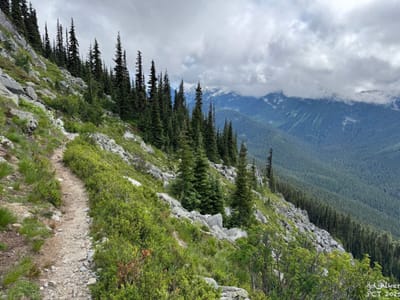 PCT 2025 Washington Section J / Cloudy Day - Day 12