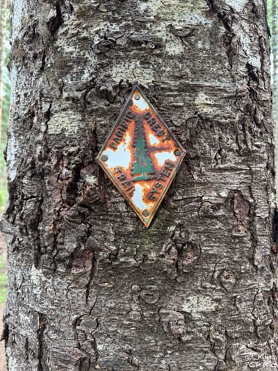 PCT 2025 Washington Section I / Dirtroads & Powerlines - Day 16