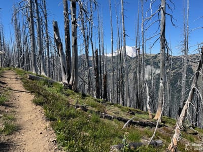 PCT 2025 Washington Section I / The Mountain III 🏔️ - Day 18