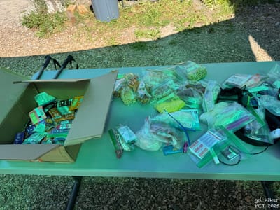 PCT 2025 Washington Section I / White Pass - Day 19