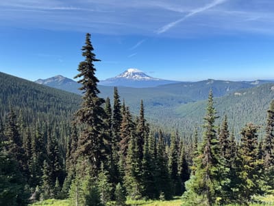 PCT 2025 Washington Section H / Mt. Adams - Day 21