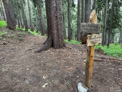 PCT 2025 Washington Section H / Forest Day by Trout Lake - Day 23